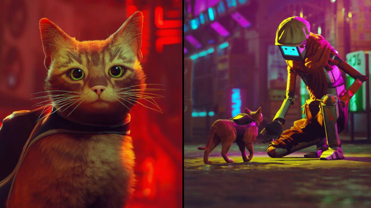 Новая игра cats. Кошка из игры. Игра про кошку на ПК 2022. Игра про синих и красных кошек. Sony Cat game.